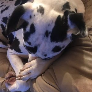 Meet your Posher, Karmen